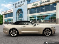 | Exterior Parking Camera Rear | Fully Automatic Headlights | Engine Block Heater | Brake Assist | E... (image 5)