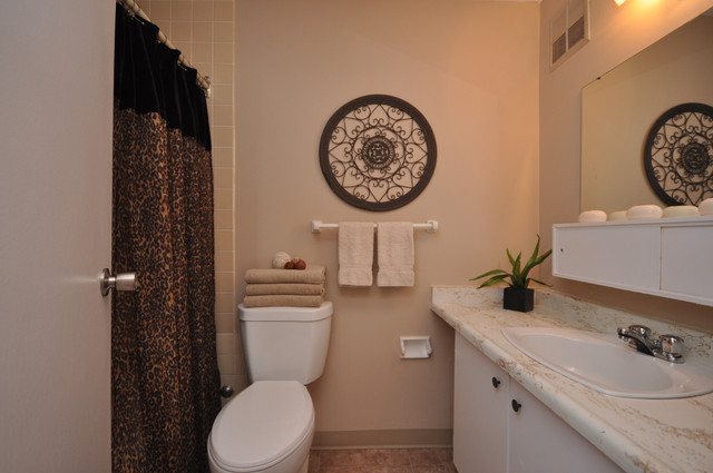 41 Cowie Hill Road - Terrace View Apartment for Rent in Long Term Rentals in City of Halifax - Image 4