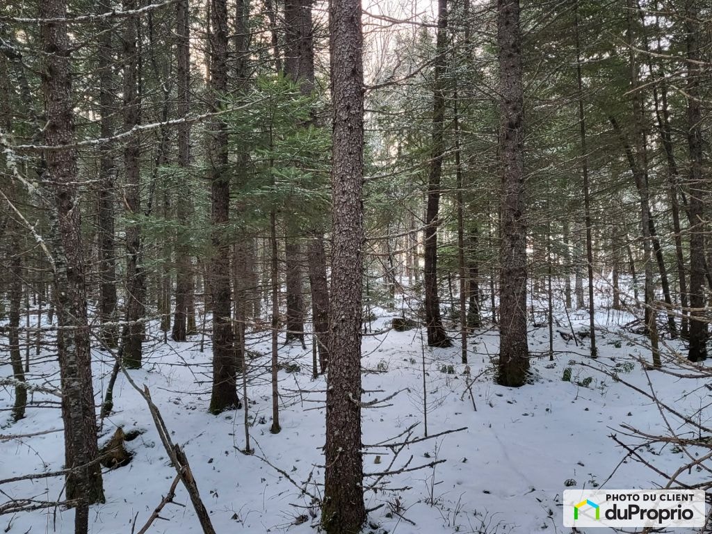 $55,000 - Residential Lot for sale in Lac-Aux-Sables — photo 3
