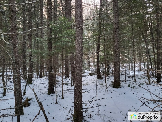 $55,000 - Residential Lot for sale in Lac-Aux-Sables — photo 3