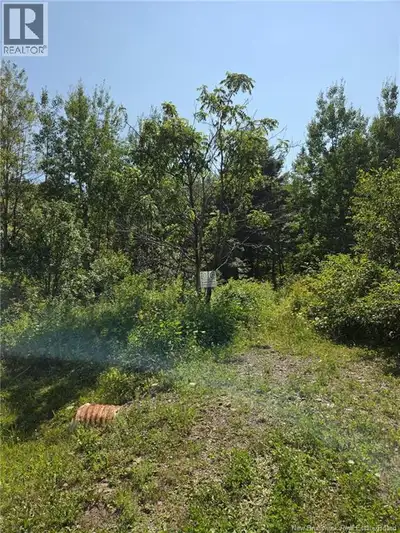 Country living, close to Woodstock. Lot with mature trees ready to be built on. There is a structure...