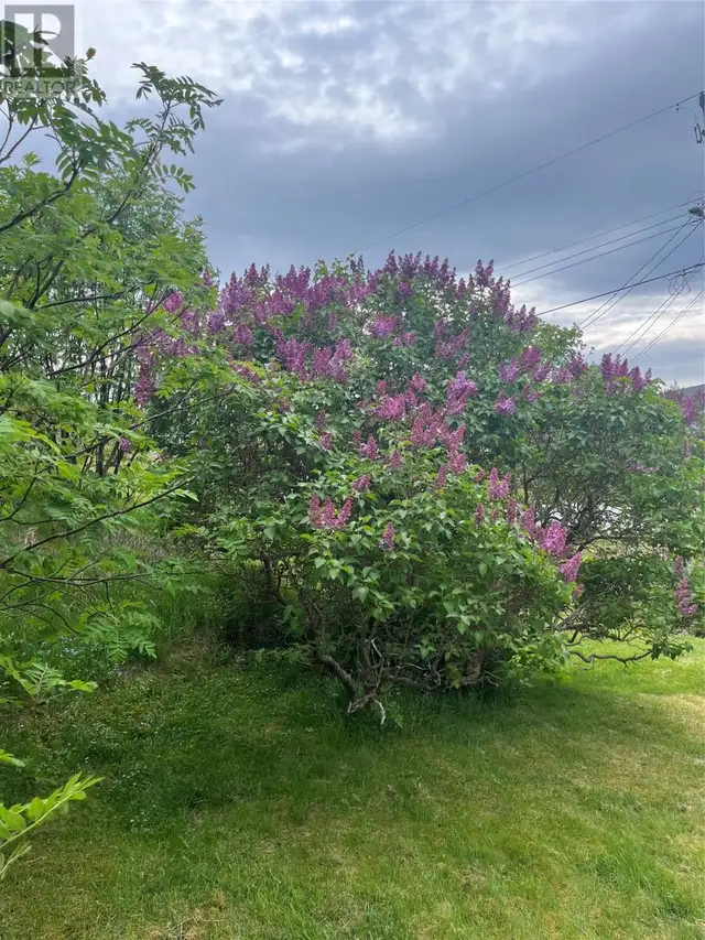 124 Main (Port Union South) Street Trinity Bay North, Newfoundla in Houses for Sale in St. John's - Image 7