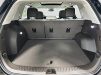 Welcome to Capital GMC! This 2026 GMC Terrain in Ebony Twilight Metallic is equipped with AWD and Tu... (image 9)