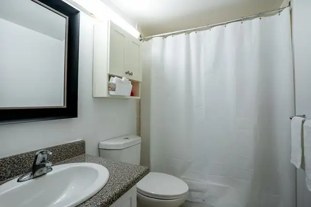 Davisville Village Apartments - Bachelor available at 141 Davisv in Long Term Rentals in City of Toronto - Image 15