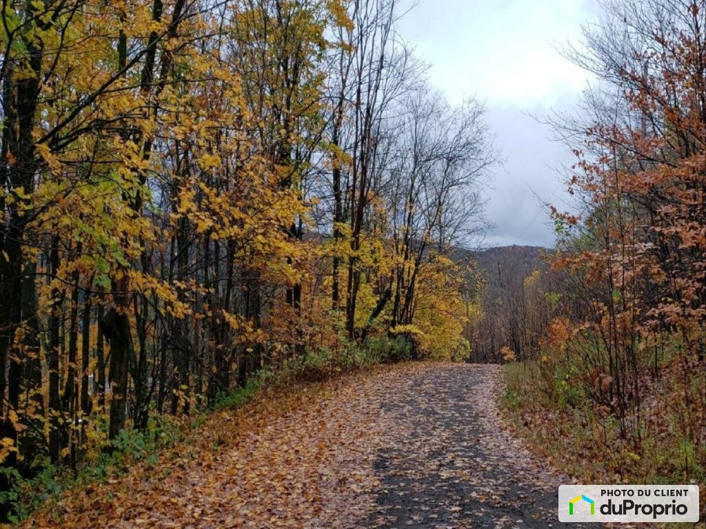$49,000 - Residential Lot for sale in Montcalm — photo 2