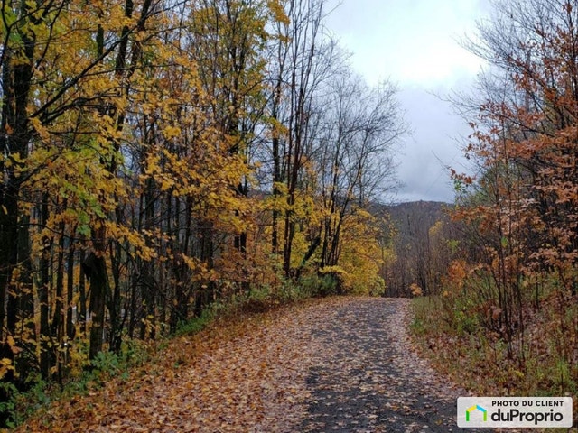 $49,000 - Residential Lot for sale in Montcalm — photo 2