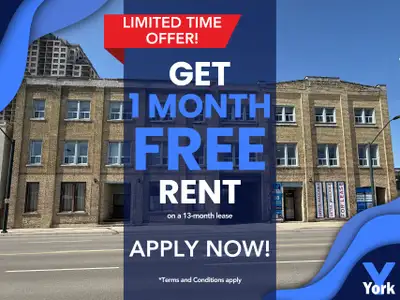 One Bedroom Downtown Spacious Apartment for Rent! York & Talbot