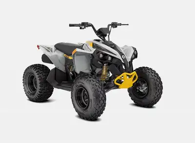 2026 CAN-AM RENEGADE 110 EFI YOUTH ATV STOCK #A114068 112cc 4 STROKE ENGINE CVT TRANSMISSION BUILT-I...