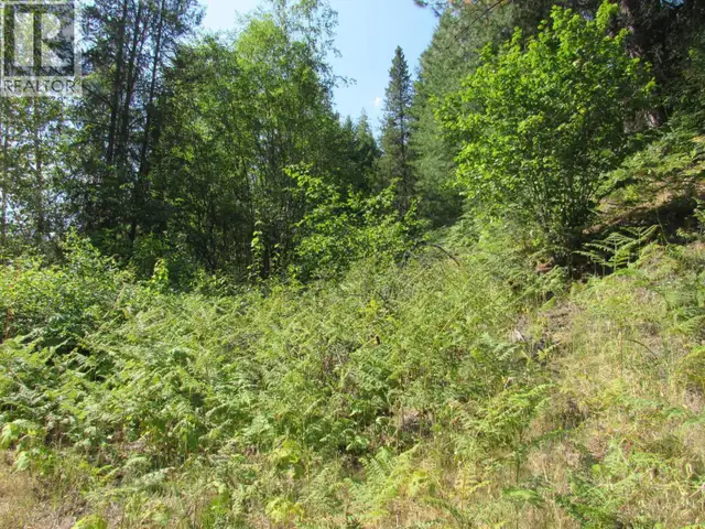 1365 Forest Road Castlegar, British Columbia in Land for Sale in Nelson - Image 20