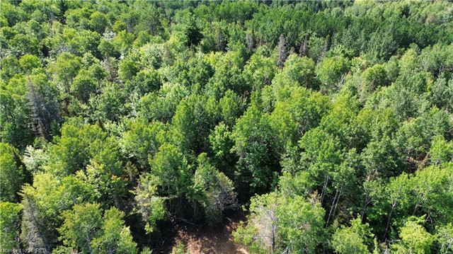 Nearly 10 Acres in Sturgeon Falls in Land for Sale in North Bay - Image 3
