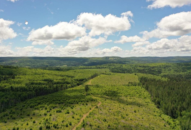 165 Acres in Land for Sale in Saint John - Image 4