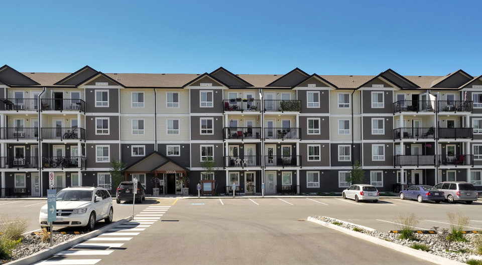 Pet-Friendly One Bedroom One Bath with In-suite Laundry for Rent in Long Term Rentals in Port Alberni