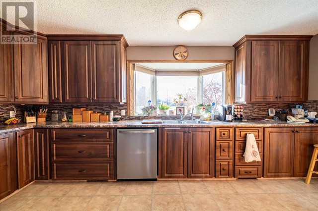 4436 54 Avenue Provost, Alberta in Houses for Sale in Red Deer - Image 3
