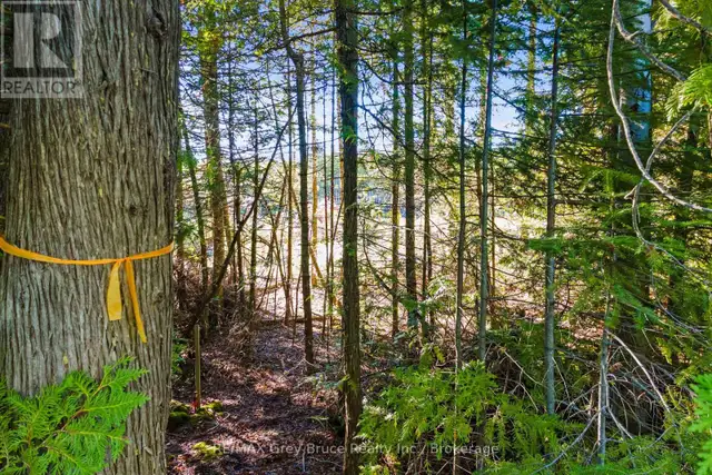 30 HURON PARK ROAD Northern Bruce Peninsula, Ontario in Land for Sale in Owen Sound - Image 31
