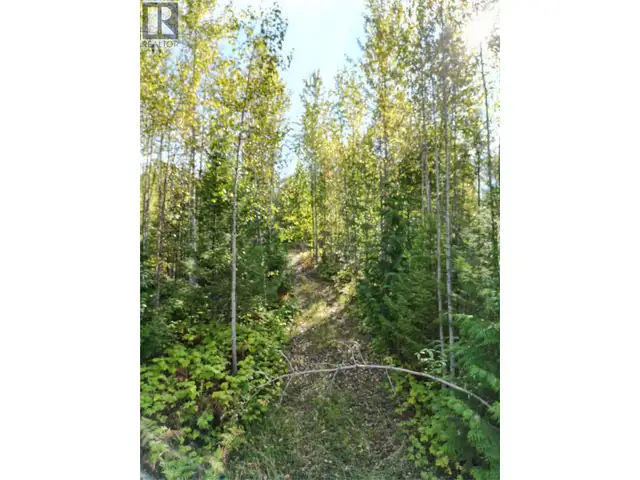 387 GALENA SHORES Drive Galena Bay, British Columbia in Land for Sale in Nelson - Image 17