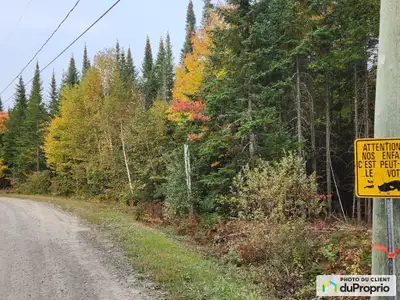 grands terrains à st-agathe des monts , au bout d'une rue privée (rue R.piché) avec 200 pieds de fro...