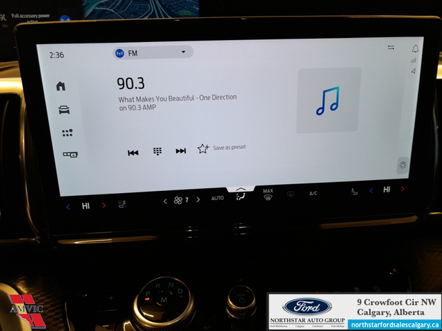 2025 Ford Expedition Platinum Max STEALTH APPEARANCE PKG. - HEAT in Cars & Trucks in Calgary - Image 20