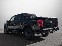 NACTOY 2021 North American Truck of the Year. This Ford F-150 boasts a Regular Unleaded V8 5.0 L eng... (image 8)