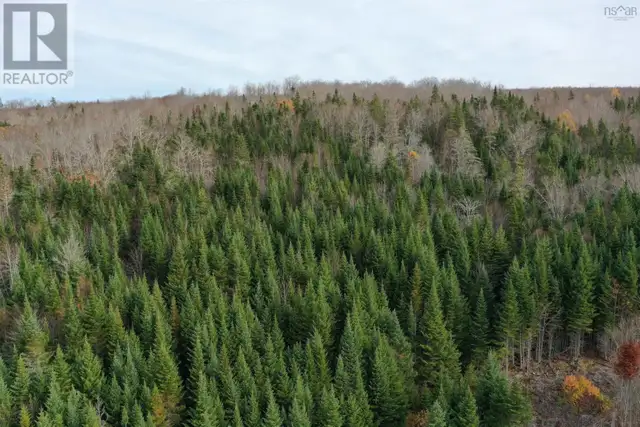 114 Acres+ MacMillan Road Willowdale, Nova Scotia in Land for Sale in New Glasgow - Image 5