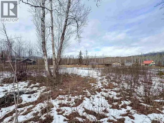 2 5115 SWANNELL DRIVE Hazelton, British Columbia in Land for Sale in Smithers - Image 5