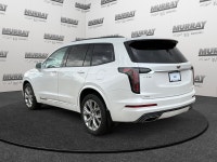 *Not all vehicles qualify for the CPO program. Contact us for details.* ==== Meet Madison, the 2020... (image 3)