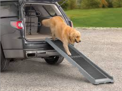 dog ramp, View more