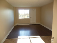 BEAUTIFUL 2+1 BED APT RENTAL AVAILABLE IN DARTMOUTH