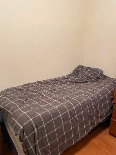 Call or Text: 416-877-3524 Title: ☀️ Bright Room for Male Student in Downtown 3-Bedroom Apartment ($...