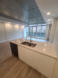 Upscale 2 Bedroom at The Crane -In-unit laundry -June & Aug 1st