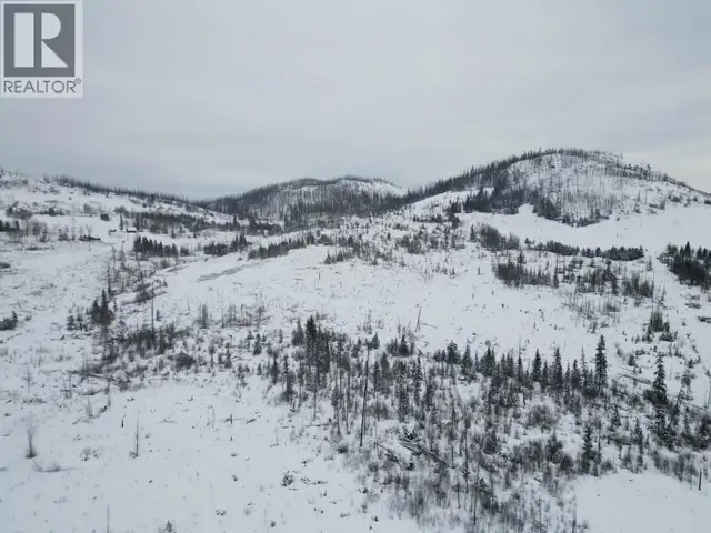 SPICER ROAD Burns Lake, British Columbia in Land for Sale in Burns Lake - Image 3