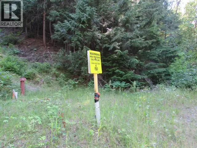 1365 Forest Road Castlegar, British Columbia in Land for Sale in Nelson - Image 10