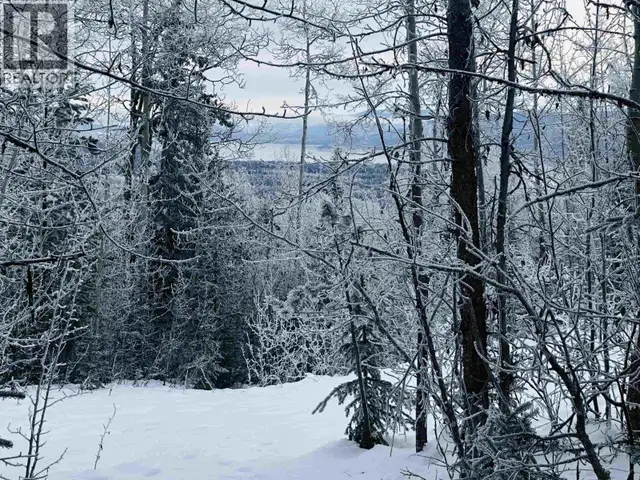 LOT A BALD HILL ROAD Burns Lake, British Columbia in Land for Sale in Burns Lake - Image 16