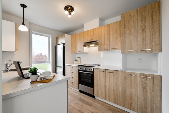 95 RUE DU DORÉ JAUNE — photo 3
