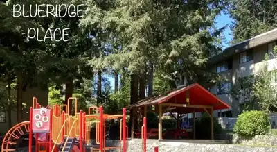Stunning 2 Bedroom/1 Bath in beautiful Seymour Heights • Shared Laundry • Beautiful Grounds • Playgr...