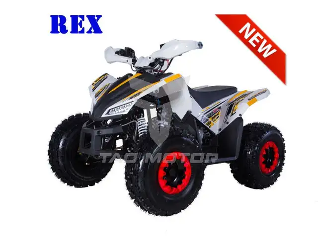 .Kids ATV's, Quads, 4 wheelers,  $1195.00!!! Ready to Drive!!! in ATVs in Ottawa - Image 12