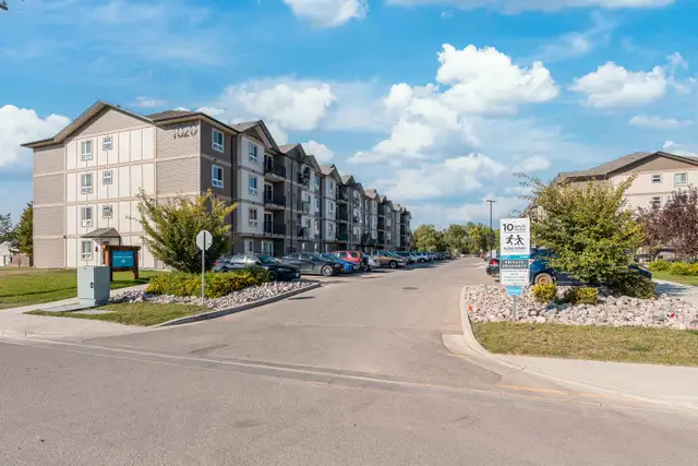 Pet-Friendly One Bedroom One Bath with In-suite Laundry for Rent in Long Term Rentals in Portage la Prairie - Image 5