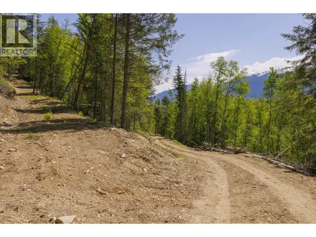 3260 MOUNTAIN VIEW ROAD McBride, British Columbia in Land for Sale in Quesnel - Image 8