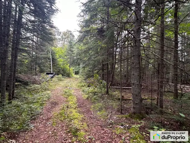 $125,000 - Residential Lot for sale in St-Donat62863773778177121