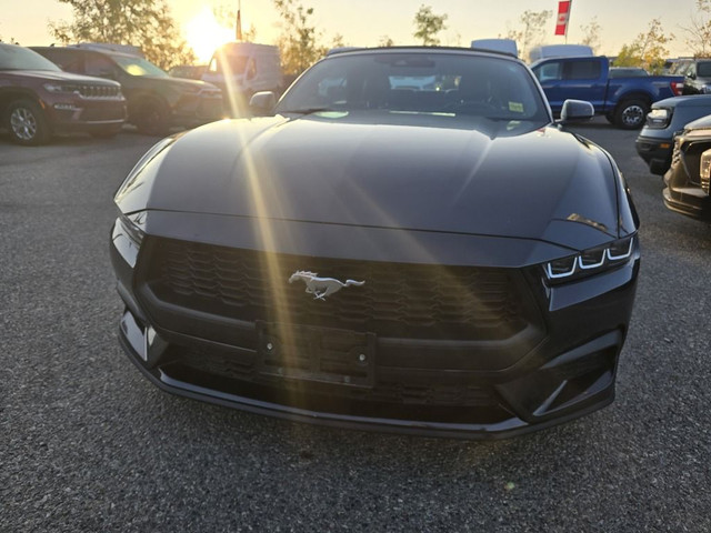 2024 Ford Mustang ECOBOOST PREMIUM CONVERTIBLE in Cars & Trucks in Calgary - Image 3