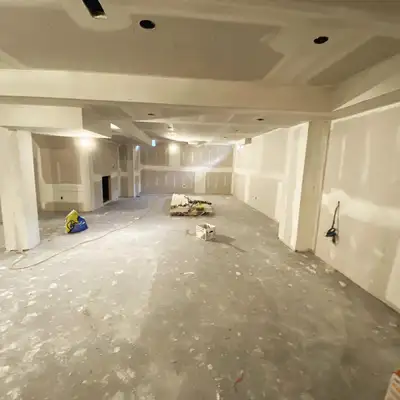 Professional Painter Available., View more