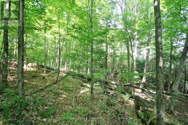 1352 COUNTY 43 ROAD HIGHWAY W Montague, Ontario in Land for Sale in Ottawa - Image 39