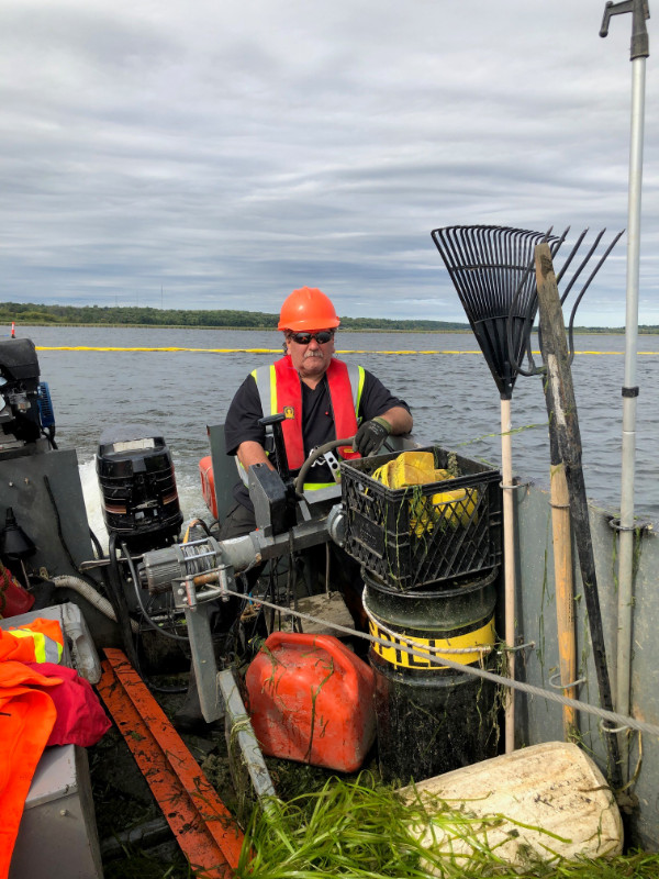 Aquatic Weed Removal/Harvesting in Other in Kingston - Image 3