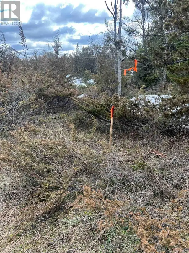 00 N. DUMMER 7TH LINE ROAD Douro-Dummer, Ontario in Land for Sale in Peterborough - Image 16