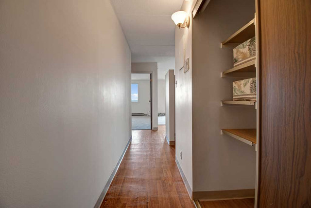 Spacious & Bright Renovated 1 Bedroom - Downtown! in Long Term Rentals in Regina - Image 4