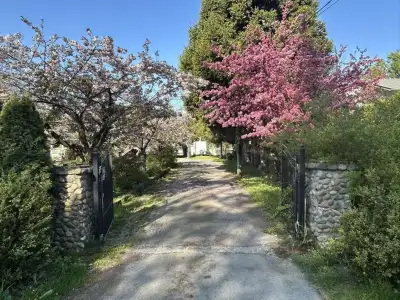 Sat on 5 acres of land, this captivating home offers your own private orchid filled with cherries, w...