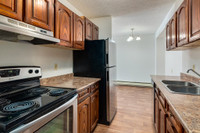 Amenities: Heat & Water Included • Security System • Quiet Buildings Suite & Building: One-, and two... (image 3)