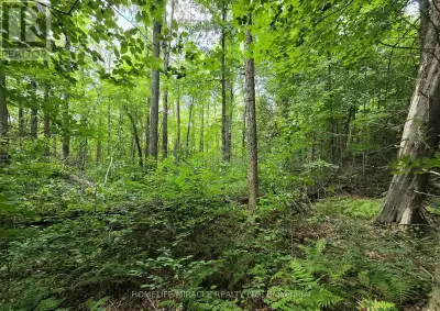 Welcome to your future getaway! This stunning treed lot is nestled in the heart of Ontario's cottage...