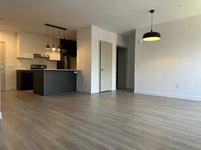 Big 2 bedroom 4 1/2, with all appliances included