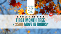 One Bedroom Apartment for Rent- All Apartment Utilities Included London Ontario Preview