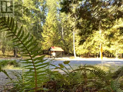 Find Your Tranquility. Tucked away from the perpetual rush of the urban world lies Sitka Grove's Lot...